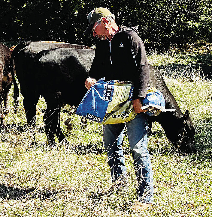 Farming brings sense of ‘peace’ to Gaunt out in field