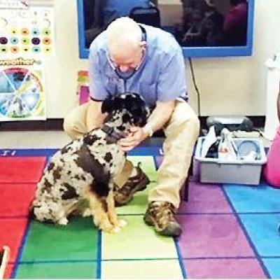 Article Image Alt Text