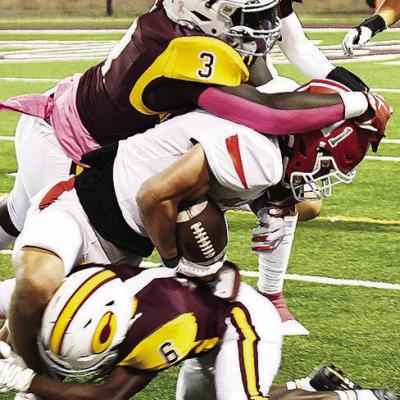 Clinton puts Cache in kennel