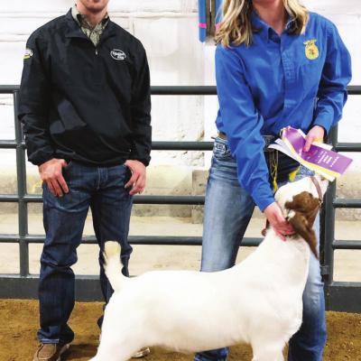 Grand Champions crowned at livestock show