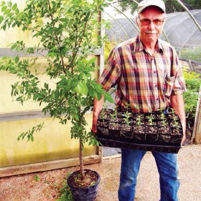 Article Image Alt Text