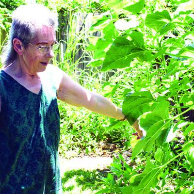 	Local resident touts preserving nature 
