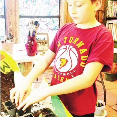 Homeschool gardening