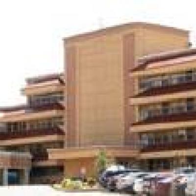 Article Image Alt Text