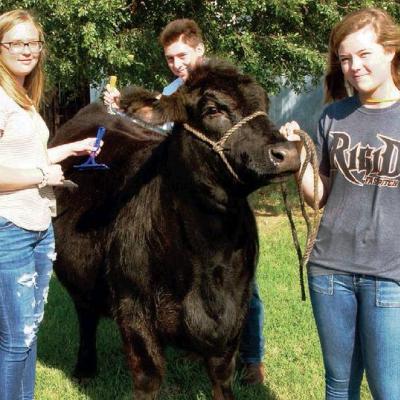 CDN | Robert S. Bryan Article Image Alt Text