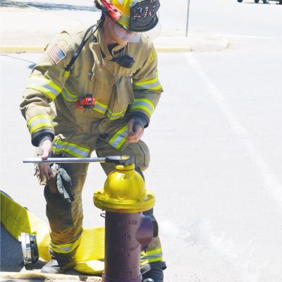 CDN | Collin Wieder CDN | Collin Wieder