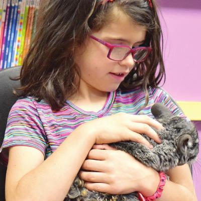 Making animal friends at the library