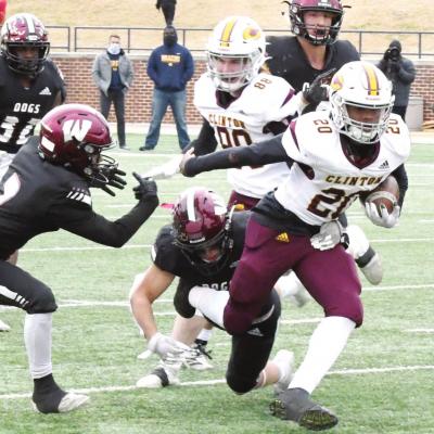 Article Image Alt Text