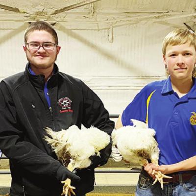 Reserve Grand Champion broiler