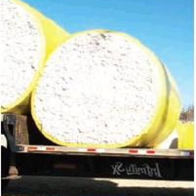Early start gives cotton harvest edge