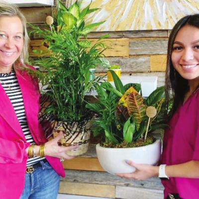 Pink Zebra ventures into flower business