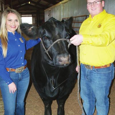 Junior Livestock Show opens Sunday
