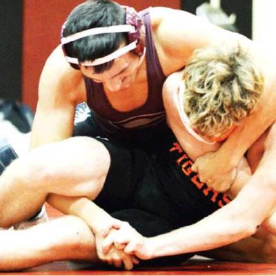 Article Image Alt Text