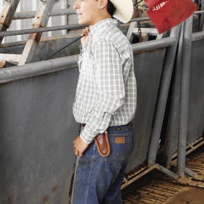 Get along, little doggies