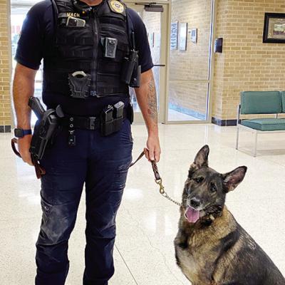 Tables tabled, K-9 approved by council