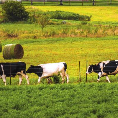 Common sustainable agriculture practices offered