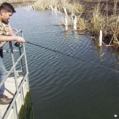 Here fishy, fishy, fishy