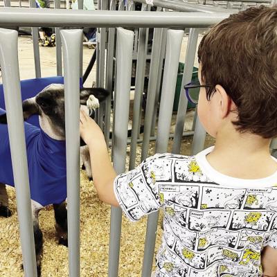 Ag students help foster, share spirit of Clinton