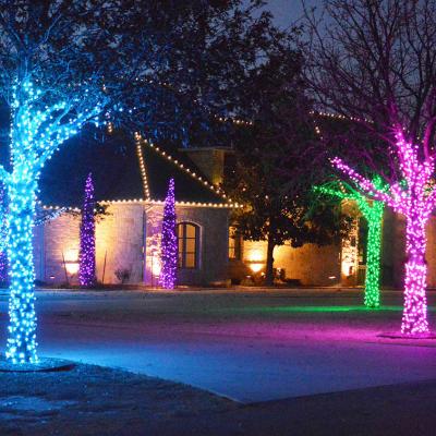 Christmas lights at 90 Stratton Lane