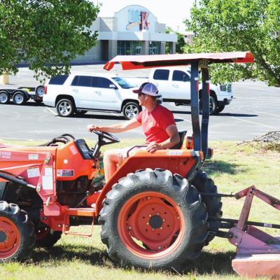 Freshly cut Freshly cut