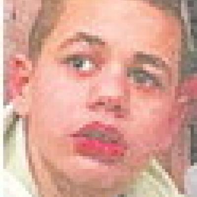 Stone Springer Clear