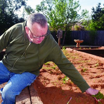 Jimmy Terrell, a resident at River Valley Nursing Home, tends to the community garden filled with strawberries and various vegetables. He delights in spotting the tiny strawberry buds emerging on the plants, a sign of the upcoming sweet harvest. CDN | Eli Sweet strawberries emerge
