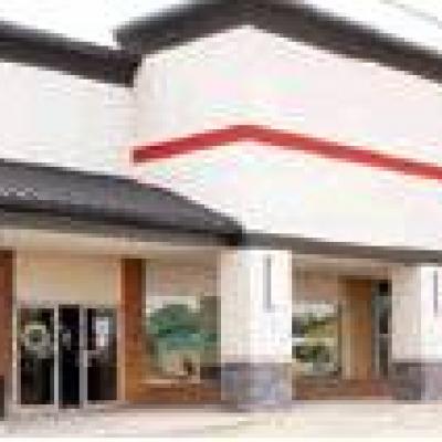 Article Image Alt Text