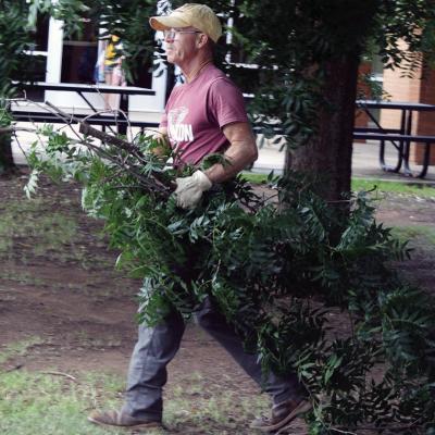 Mark Stapleton trims the tree branches for the future play area of the Tiny Tornado Daycare at the Washington Elementary building. CDN | Christian Jacobsen