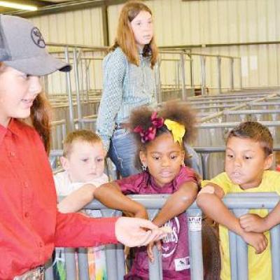 Article Image Alt Text