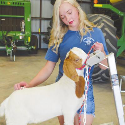 Summer also active time for Clinton FFA students