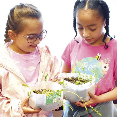 Seeing where vegetables come from