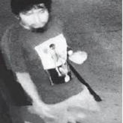 Article Image Alt Text