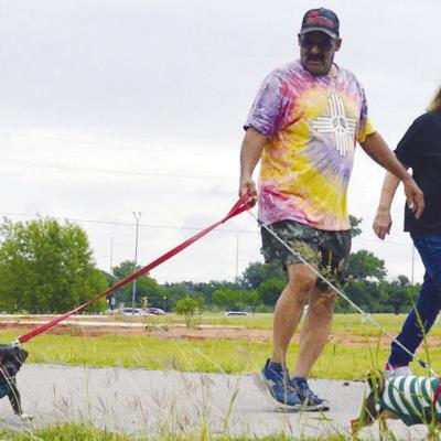 Walking the dogs