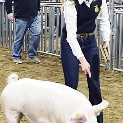 CDN | Bryale Johnson FFA represents at local show