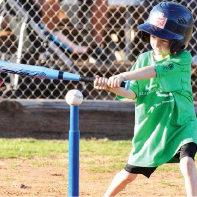 Article Image Alt Text