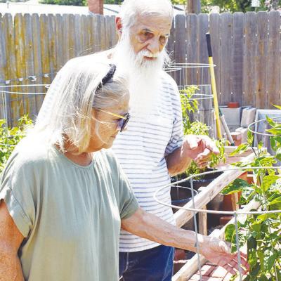Marcia Wheeler, left, and Michael Bingenheimer pluck Pepper Alley’s namesake in order to create one of their signature sauces. CDN | Caleb Blanchard Making Pepper Alley sizzle, pop