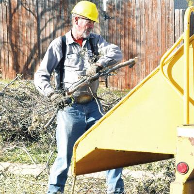 Tree limb shredding Tree limb shredding