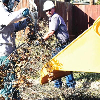 Brush removal underway