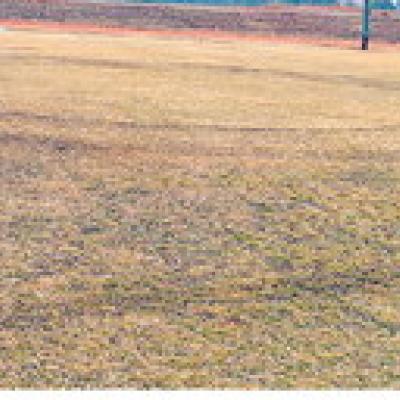 Doughnuts were carved into the soccer fields at Acme Brick Park by an apparent pickup truck.
