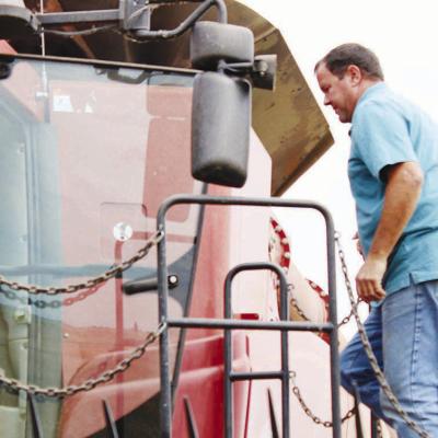 Wheat harvest weathers challenges