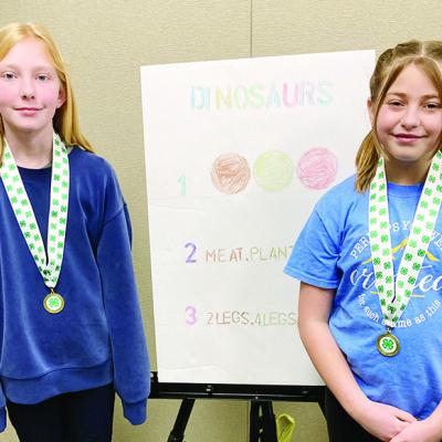 Prehistoric presentation