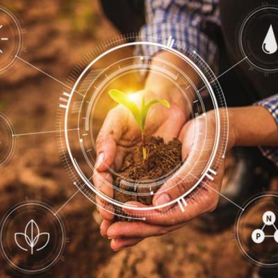 Researchers try to make crops resistant to climate change