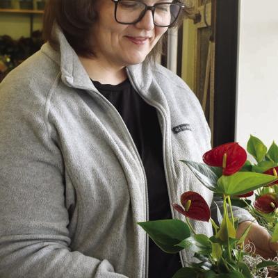 Anthuriums aid archers