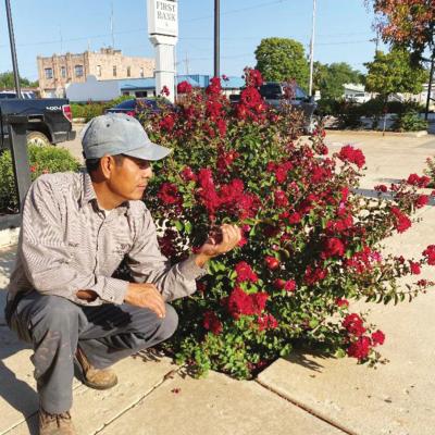 Torres proud to see things grow in Clinton