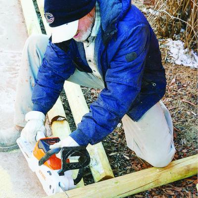 Taking shape Taking shape