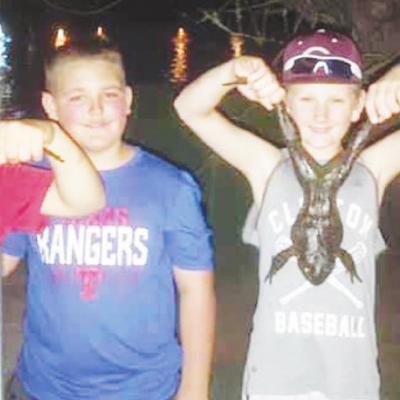 Frog-catching s Frog-catching s