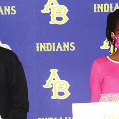 Article Image Alt Text