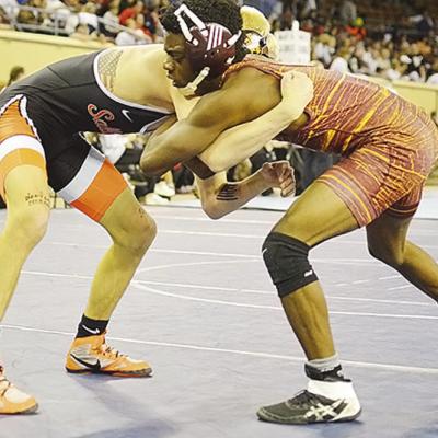 Two take third at state wrestling tourney