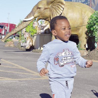 Jeremiah Gathings runs as he enjoys the animatronic animals with the Wild Adventures Smart Zoo experience hosted Thursday afternoon at the Sutherlands parking lot. CDN | Micah Ashcraft