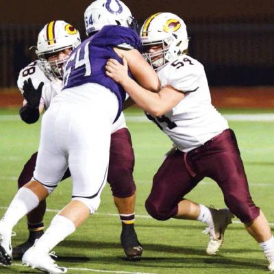 Article Image Alt Text